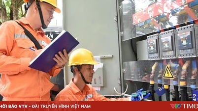 Προώθηση της εξοικονόμησης ηλεκτρικής ενέργειας στις παραγωγικές δραστηριότητες.