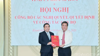 ខេត្ត Khanh Hoa ប្រកាសពីការសម្រេចចិត្តលើបញ្ហាបុគ្គលិក។