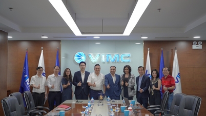 VIMC ו-Schneider Electric משתפות פעולה כדי לקדם פיתוח נמלים ירוקים בווייטנאם.
