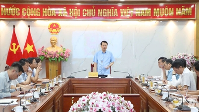 Expedite the progress of the Yen Binh Concentrated Digital Technology Park Project.