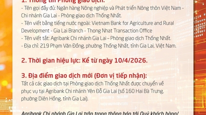 Agribank Gia Lai Branch announces the closure of Thong Nhat Transaction Office.