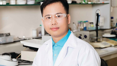 Vietnamese PhD holder honored four times at a world-leading cancer center.