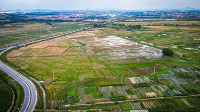 Bac Ninh: Más de 11.000 m2 de terreno destinados a un proyecto hotelero en el distrito de Thuan Thanh han sido recuperados debido a violaciones de las leyes de tierras.