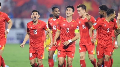 ក្រុមជម្រើសជាតិវៀតណាមប្រឈមមុខនឹងចន្លោះប្រហោងដ៏ធំមួយបន្ទាប់ពីការចាកចេញរបស់ Lee Jung-soo។