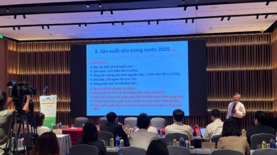 Vietnam Dairy 2026: Podnoszenie standardów jakości w celu osiągnięcia zrównoważonego rozwoju w branży mleczarskiej.