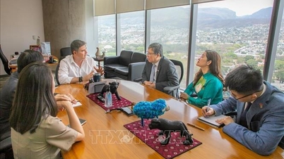 Vietnam promueve las relaciones comerciales con localidades mexicanas.