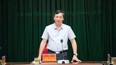 省人民評議会議長のグエン・ベト・オアン氏は、ルオンタイ村で活動している。