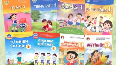Elaboración de estándares para libros de texto electrónicos.
