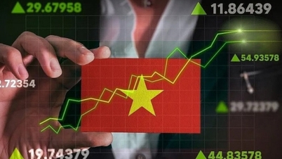 Διπλή ευκαιρία καθώς η χρηματιστηριακή αγορά του Βιετνάμ αναβαθμίζεται.
