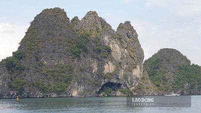 Hang Trống - kỳ quan giữa lòng kỳ quan vịnh Hạ Long