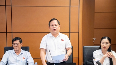 Diskuse ve skupině 8 (delegace Národního shromáždění provincií Bac Ninh a Ca Mau): Osoby se zdravotním postižením a starší osoby potřebují přednostní přístup k informacím.