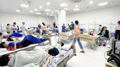 Alunos sofrem intoxicação alimentar: Análise abrangente de escolas com cozinhas próprias na província de Khanh Hoa.