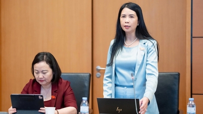 Proposals suggest that migrant women and single mothers raising young children should receive free legal aid.