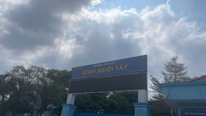 Ho Chi Minh City provides further information on the suspected food poisoning incident at Binh Quoi Tay Primary School.