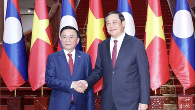 Permanent member of the Party Central Committee Tran Cam Tu met with Lao Prime Minister Sonexay Siphandone.