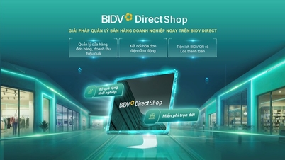 Zarządzaj sprzedażą efektywniej dzięki BIDV Direct Shop