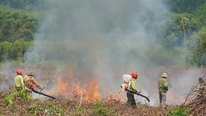 Intense heatwave in Central Vietnam: Urgent need for forest fire prevention and control.