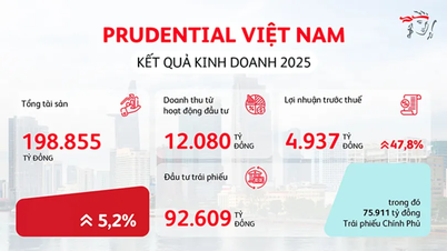 شرکت بیمه عمر پرودنشال ویتنام (Prudential Vietnam Life Insurance Company Limited) نتایج تجاری قوی خود را برای سال 2025 اعلام کرد که باعث تقویت اعتماد مشتری و ایجاد آرامش خاطر کامل برای هر خانواده ویتنامی شده است.