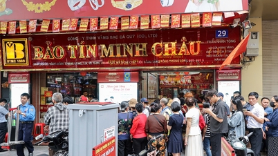 Vad säger skattemyndigheten om Bảo Tín Minh Châus kränkningar?
