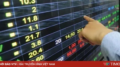 VN-Index turun hampir 20 poin.