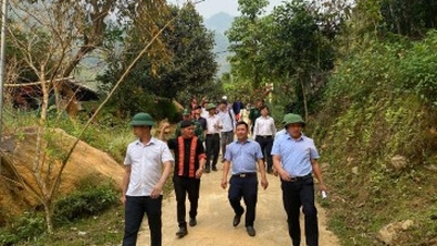Survey and assess the current state of community tourism activities in several communes and wards.