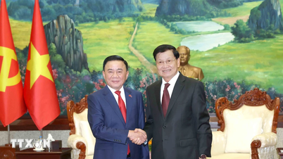 Tran Cam Tu, membre permanent du Secrétariat du Comité central du Parti, a rencontré le secrétaire général et président du Laos.