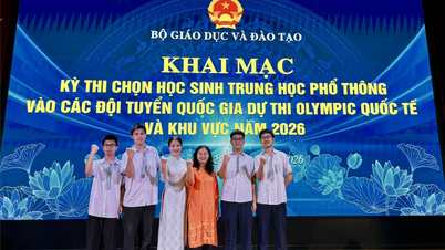 Hanoi has 8 students selected for the national Olympic team in 2026 to participate in regional and international Olympiads.