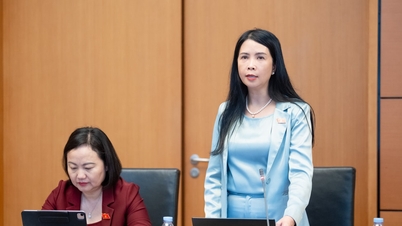 Dyskusja w Grupie 11 (Delegacja Zgromadzenia Narodowego miasta Hai Phong i prowincji Quang Ngai): Obowiązkowe szkolenie w zawodzie prawniczym dla asystentów prawnych.