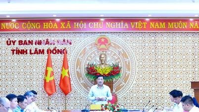 Provincia Lam Dong organizează o întâlnire pentru a rezolva obstacolele din calea proiectelor de bauxită TKV.