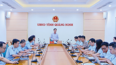 Quang Ninh: Monitorear y supervisar periódicamente las áreas propensas a la corrupción, el despilfarro y las prácticas negativas.