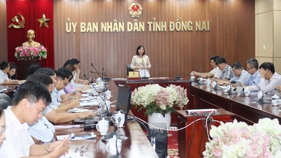 ខេត្តដុងណៃស្នើសុំឱ្យពន្លឿនការពិនិត្យឡើងវិញ និងការប្រើប្រាស់ដីសាធារណៈប្រកបដោយប្រសិទ្ធភាព។