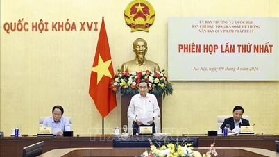 ประธานสภาแห่งชาติเป็นประธานในการประชุมทบทวนระบบเอกสารทางกฎหมายอย่างครอบคลุม