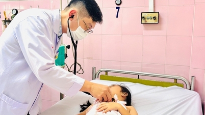 Caso suspeito de intoxicação alimentar entre estudantes na cidade de Ho Chi Minh: Vários casos de infecções gastrointestinais de moderadas a graves.