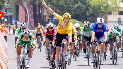 The rankings remained unchanged in Stage 7 of the 2026 Ho Chi Minh City Television Cup Cycling Race.