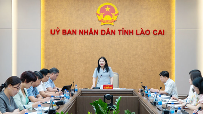 Vice Chairman of the Provincial People's Committee Vu Thi Hien Hanh works with the Department of Culture, Sports and Tourism.