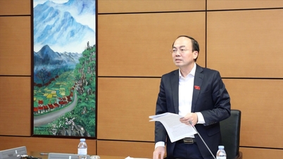 Parlementslid Le Hoang Hai (Dong Nai): Verbeter de discipline binnen de overheidsdienst, hervorm de administratieve procedures en versnel de digitale transformatie.