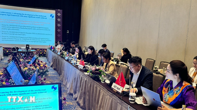 וייטנאם תרמה תרומה חיובית לוועידת ASEAN לשיתוף פעולה בתחום הקניין הרוחני.