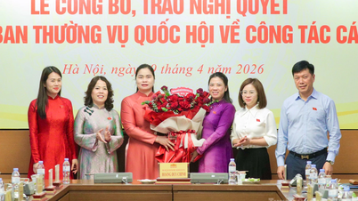 A camarada Ma Thi Thuy ocupa o cargo de Membro e é representante em tempo integral da Assembleia Nacional no Conselho para as Minorias Étnicas.