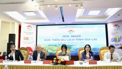 Gia Lai intensifie ses efforts pour promouvoir les filières de tourisme vert.