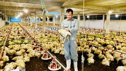 Eine gute Krankheitsvorbeugung ist für eine nachhaltige Tierhaltung unerlässlich.