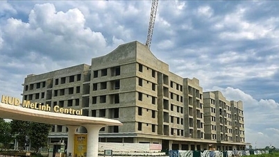 Специальный репортаж в газете «Ханой Мой», 10 апреля 2026 года.