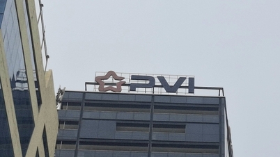 Die Wirtschaftsprüfer untersuchen die Verantwortung von PVI für die Investition von über 37 Milliarden VND in die DongA Bank.