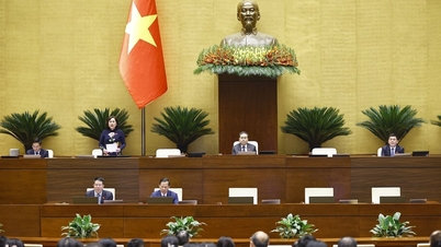 On April 10th, the National Assembly continued its discussion on socio-economic development results and draft laws.