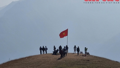 Propomos trocar nossos dias de folga para termos 4 dias de folga para o Dia da Cultura Vietnamita, em 24 de novembro de 2026.