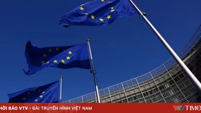 Az EU fontolgatja a nagy technológiai vállalatok megadóztatását.