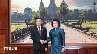 Permanent lid van het Centraal Comité van de Partij, Tran Cam Tu, heeft een ontmoeting gehad met de voorzitter van de Cambodjaanse Nationale Vergadering.