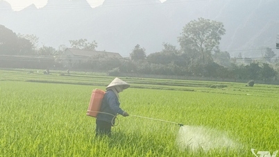 Quality control of agricultural supplies