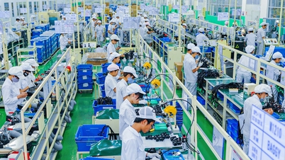 Menciptakan landasan industri untuk fase pembangunan baru di Hai Phong.