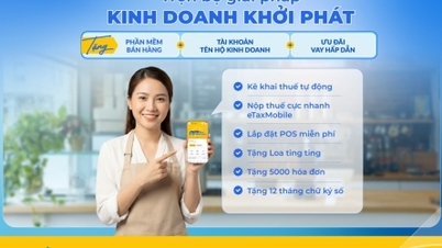 PVcomBank menyediakan serangkaian solusi untuk membantu bisnis rumahan menstandarisasi akun dan pajak mereka.