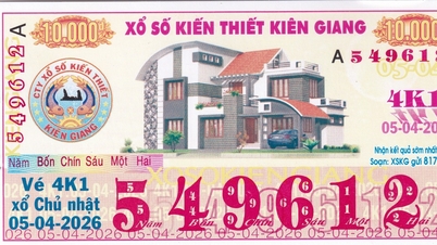 The State Audit Office recommends disciplinary action against the leaders of Kien Giang Lottery Company for a series of violations.